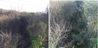 Estación Herrera: Un motociclista despistó en Ruta 39 y sufrió lesiones graves