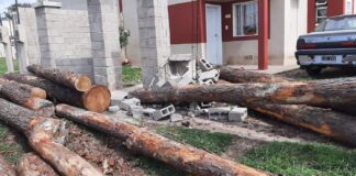 Un camión palero perdió parte de su carga en Avda Frondizi