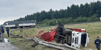 Un camión despistó en la Autovía esta mañana