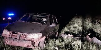 Un automovilista perdió el control y volcó al esquivar un carpincho