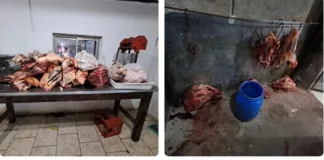 En controles a carnicerías en Gualeguaychú – Decomisan más de media tonelada de carne clandestina y en mal estado