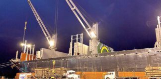 El puerto operó con cuatro buques en quince días, y se espera otro para el domingo