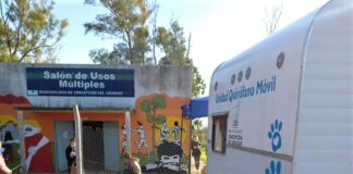 Se registraron más de mil castraciones en el área de Zoonosis municipal