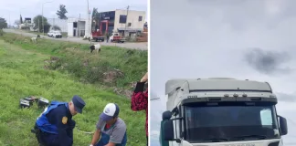 Un camión colisiono con un poni en ruta 127, que debió ser sacrificado