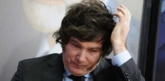 ¿Será? Crecen los rumores sobre la posibilidad de que Milei se baje del Balotaje