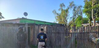 Federación: Allanamiento por Narcomenudeo y cinco detenidos