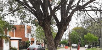 Concepción del Uruguay: Un hombre de 72 años falleció en la vía publica por un infarto masivo