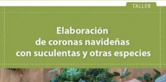 Taller de elaboración de coronas navideñas en la Universidad de Concepción del Uruguay