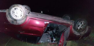 Un vehículo chocó con un equino y volcó