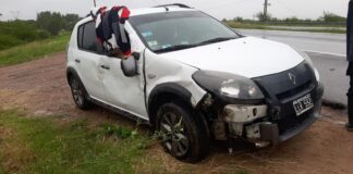Conductor chocó un caballo suelto en plena Ruta 12