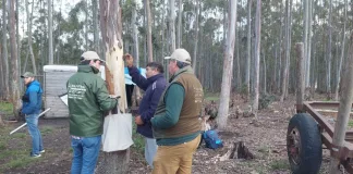 Realizaron allanamiento en un establecimiento forestal y encontraron trabajadores en condiciones infrahumanas entre ellos menores