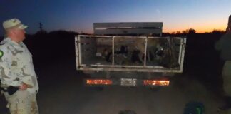 Identifican a trece cazadores furtivos en cuatro procedimientos realizados en el departamento Gualeguaychú