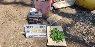 Allanamiento en relación al robo en un kiosco