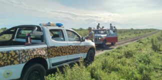 Operativos en zona rural de Gualeguaychú – En dos procedimientos constataron ocho cazadores con 17 perros