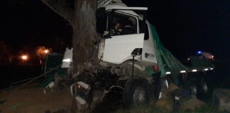 Ruta 39: Un camión tuvo un desperfecto mecánico, se cruzó de carril, impactando contra un árbol