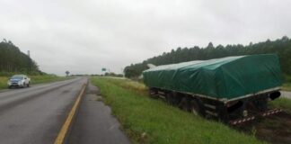 Autovía Artigas: Camionero se descompenso y falleció