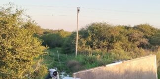 Un camión cayó desde un puente, hay dos personas con lesiones graves