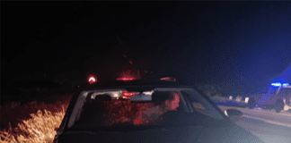 Un auto chocó un caballo suelto en ruta 12