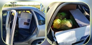 Procedimiento en protección a la fauna autóctona