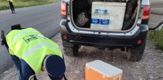 Secuestro de armas de fuego en ruta entrerriana