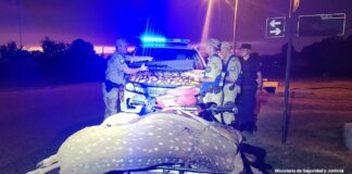 Llevaba en un cuatriciclo tres ciervos faenados, participó en el procedimiento Personal de Comisaría Urdinarrain y Brigada de Abigeato