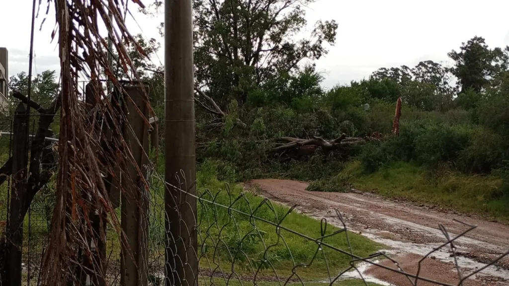 La Municipalidad asiste a los vecinos afectados por el temporal