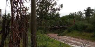 La Municipalidad asiste a los vecinos afectados por el temporal