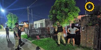 Isla del Ibicuy: Realizaron procedimientos, tras una investigación de abigeato, como asi también en Federación