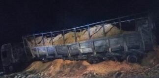 Un camión se incendió en plena Autovía 14, las pérdidas fueron totales