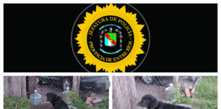 En Concordia secuestraron animales por mal estado de cuidado