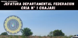 Un interno del Psiquiátrico de Federal se escapó en un auto oficial y terminó volcando