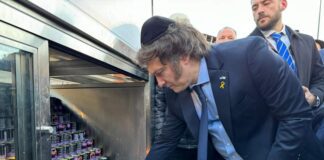 Diputados aprobó el artículo que le da superpoderes a Javier Milei