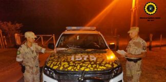 Dos uruguayos que ingresaron ilegalmente al país, Policía rural le secuestro un arma sin documentación y una embarcación