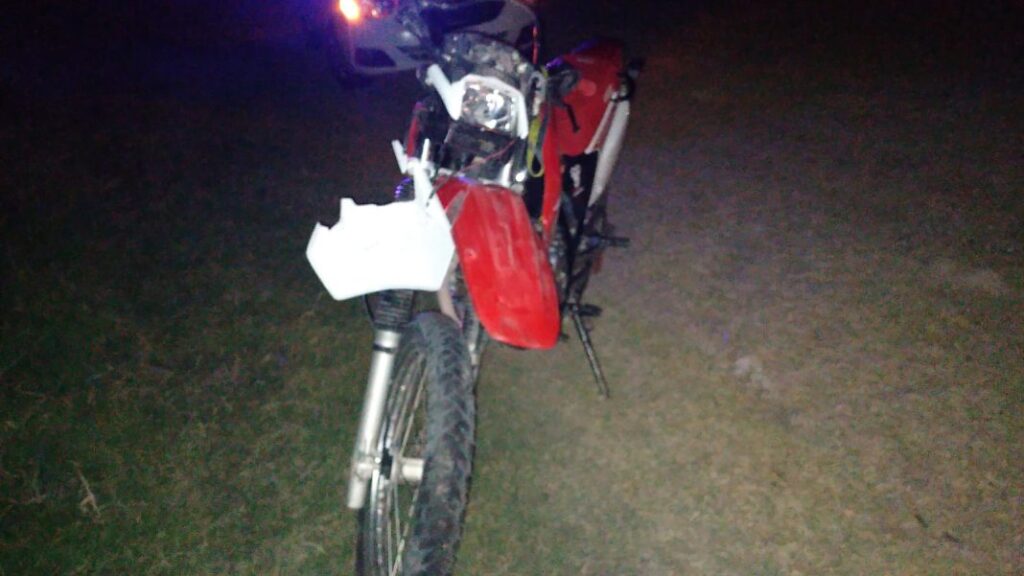 Tragedia en ruta 11: Mueren dos motociclistas tras impactar con un caballo