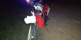 Tragedia en ruta 11: Mueren dos motociclistas tras impactar con un caballo