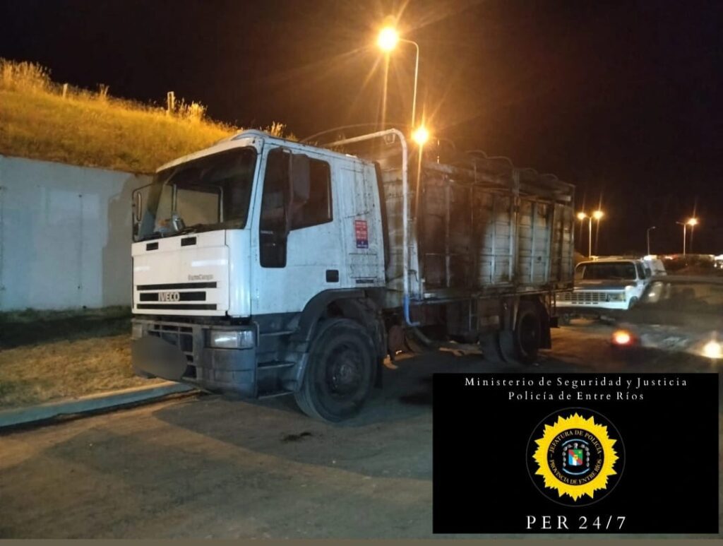 RN12: Un camión se incendió, provocó el incendio de la banquina y la ruta estuvo cortada por más de tres horas