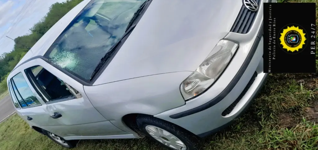 San Justo: A un automovilista se le cruzó un equino en ruta 39