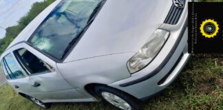 San Justo: A un automovilista se le cruzó un equino en ruta 39