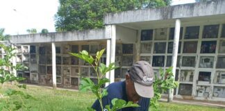 El Cementerio continúa su campaña de prevención ante el Dengue