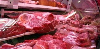 El consumo de carne vacuna se desploma en el mercado interno por efecto de la inflación
