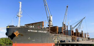 El puerto sigue exportando mientras planifica diversificar las cargas