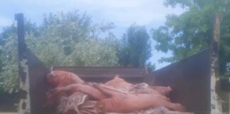 El Municipio decomisó más de 1500 kg de carne en mal estado