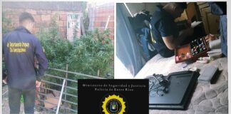 Un allanamiento por robo terminó con el secuestro de plantas de marihuana