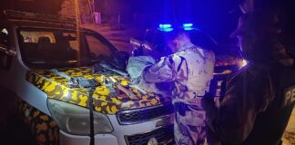 Gualeguaychú: Condenaron a 6 años de prisión a una banda de cuatreros por un hecho de abigeato