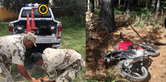 Brigada del Departamento Uruguay recuperó un caballo robado en Colón y una moto con pedido de secuestro en ciudad