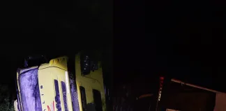 Por el mal clima un camión cargado de vacas volcó en ruta provincial 6