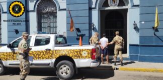 Abigeato: La Sociedad Rural de Gualeguaychú, destacó el trabajo que finalizó con condenas de prisión efectiva