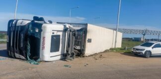 Un camión volcó en ruta 14 en cercanías al acceso a Federación