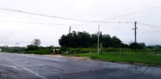 Un motociclista cayó con su moto y sufrió lesiones graves