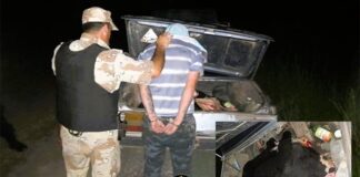 Detuvieron a una persona con un animal vacuno faenado en el baúl del auto y en su poder marihuana